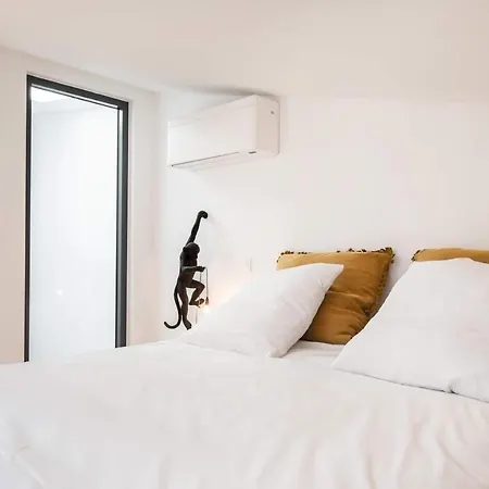 Le Loft De La Tour Pinte カルカソンヌ